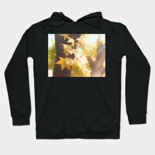 Autumn Leaves Hoodie